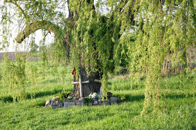Opinii despre Gyöngyösi Betyárcsárda în Rezi - Vendéglátás