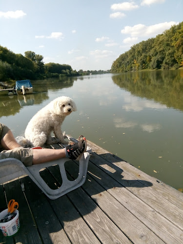 Belvárosi Pékség Bt. - Csongrád