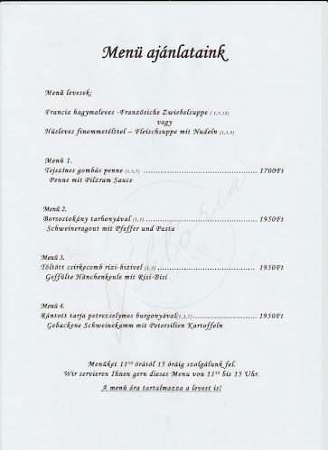 Opinii despre Viktória Étterem în Balatonmáriafürdő - Vendéglátás