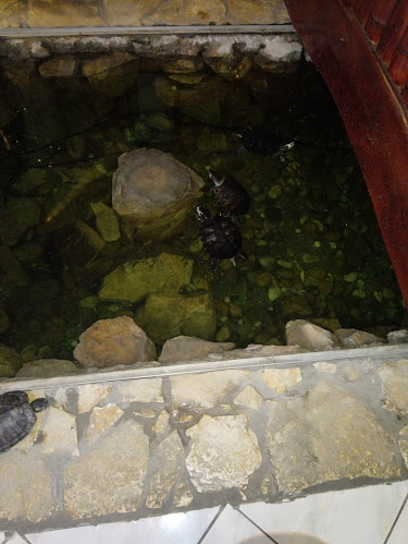 Holdfény Étterem - Vendéglátás