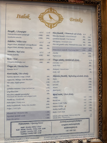 Comentarii opinii despre Aranypinty