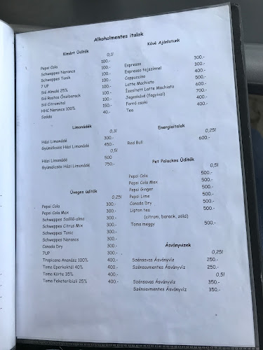 Comentarii opinii despre Family Étterem