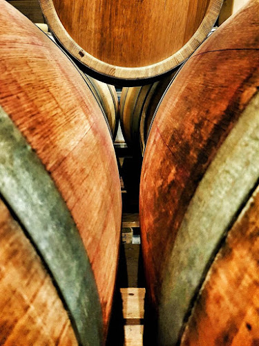 Pellikán Birtok - Kiskunmajsa