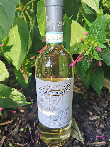 Comentarii opinii despre Ricsó Wine kft.-Bor webáruház