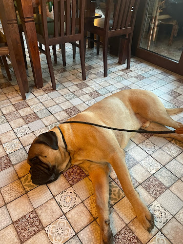 Udvarház Vendéglő - Vendéglátás