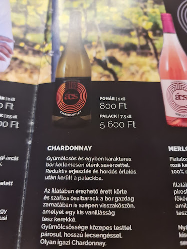 Opinii despre Pannonhalmi Borterasz és Borbár în Győr - Vendéglátás