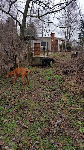 Tó Büfé - Nyíregyháza