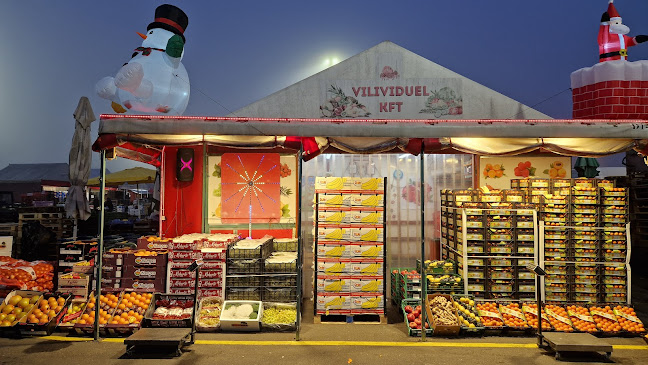 Budapesti Nagybani Piac Zrt.