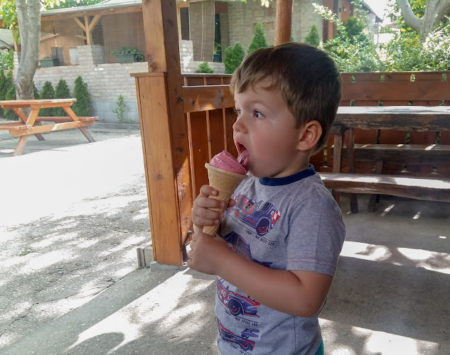 Fehérvári Fagyizó - Vendéglátás