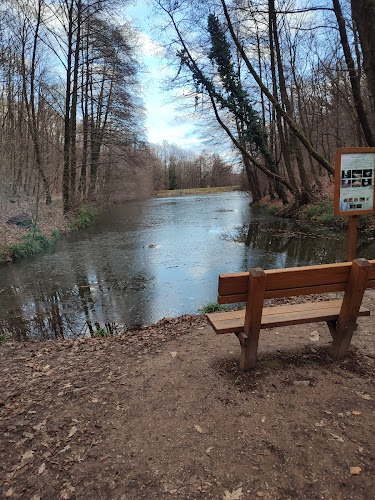 Piazza del Grano - Pécs