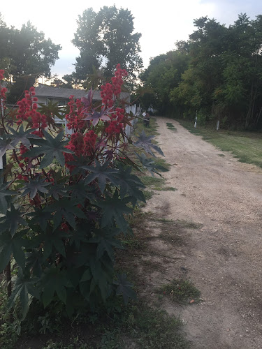 Nagy Kft. - Vendéglátás