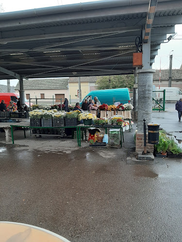 Piac savanyúsàg üzlet