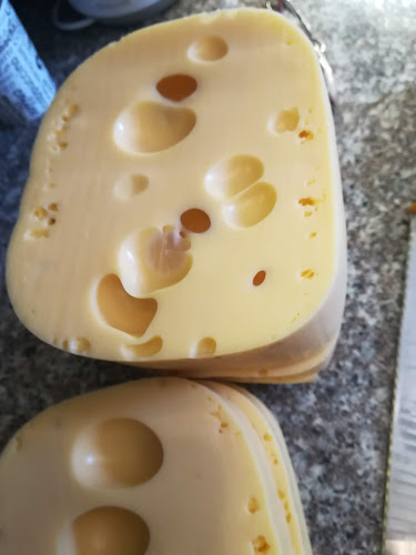 Dr. Szendvics - Vendéglátás