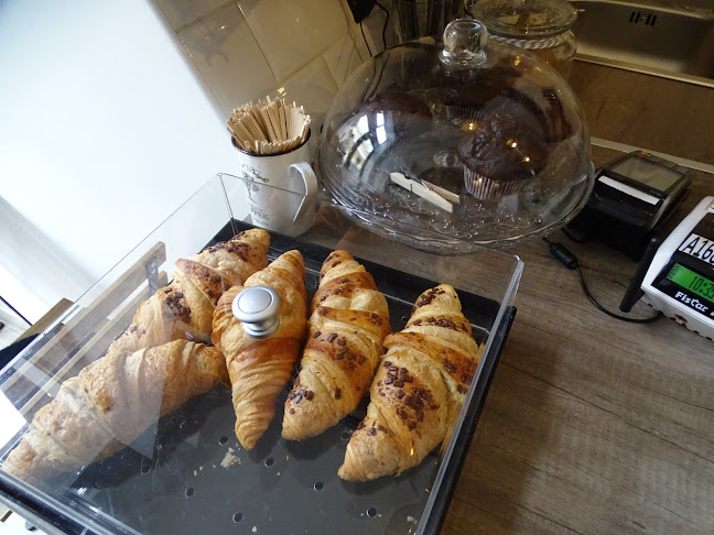 Early Bird Coffee - Speciality coffee - Vendéglátás