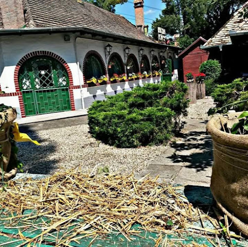 Megyeri Csárda - Vendéglátás