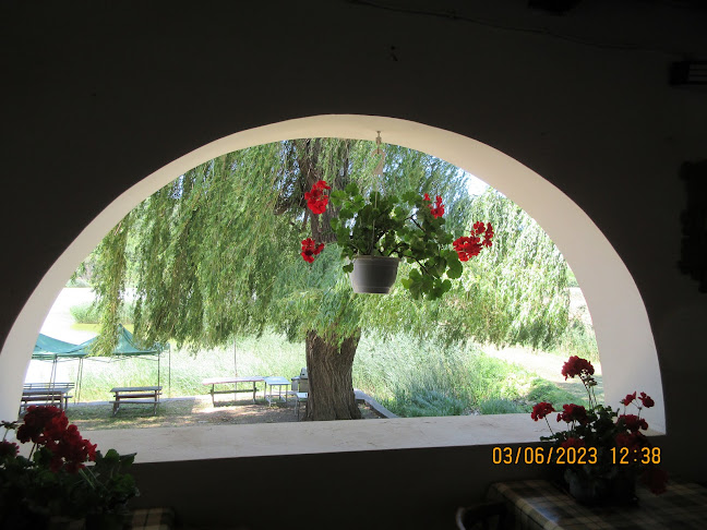 Bortó Italozó - Vendéglátás