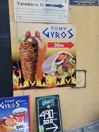 Tony Gyros