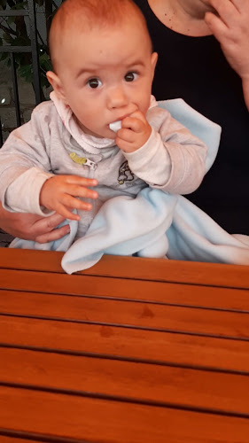 Vadvirág Vendéglő és Fogadó - Tatabánya