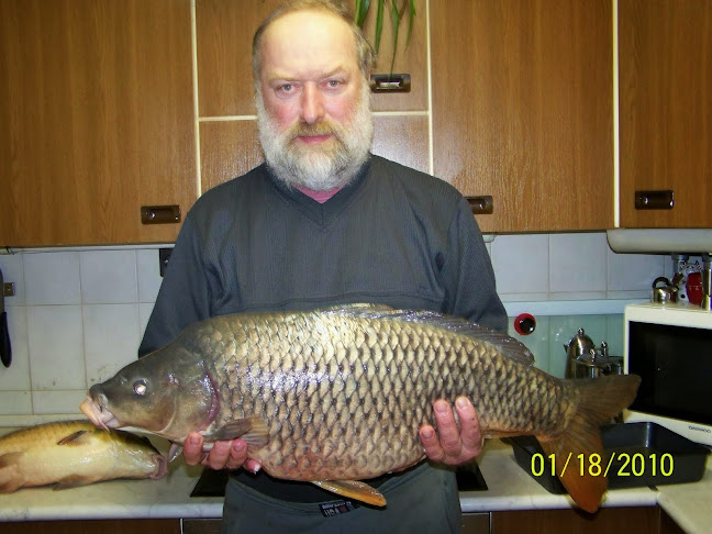 Halas Karcsi Büféje ( Best fish place at Balaton)