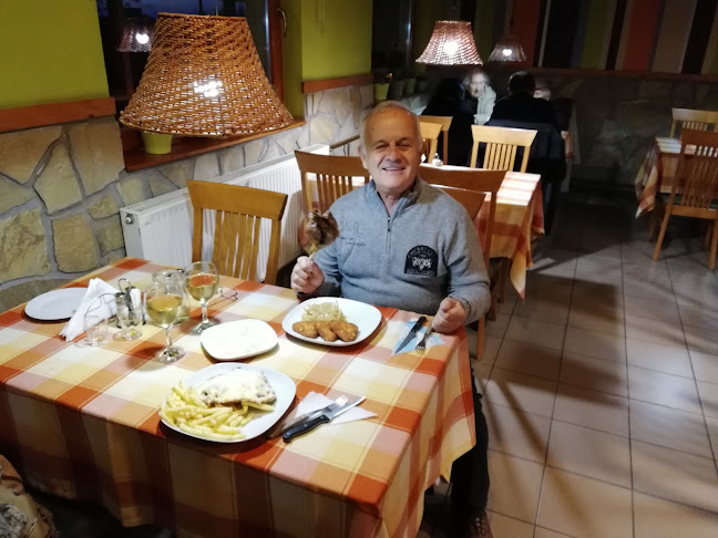 Csopak Vendéglő és Pizzéria - Vendéglátás