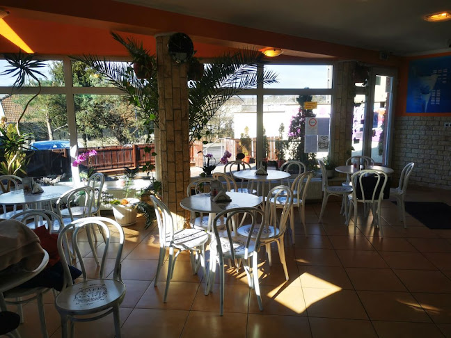 Sweet-Ice Bt. - Bayer Cukrászda - Salgótarján