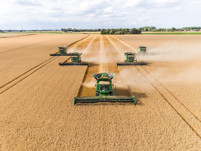 Vargáné Tünde és Társa Kft - Abony