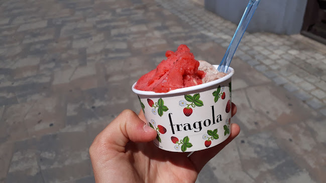 Fragola fagyizó - Vendéglátás