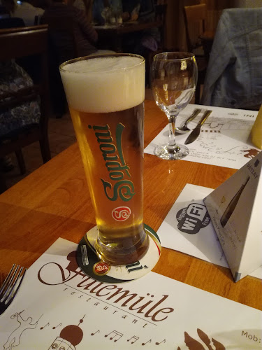 Comentarii opinii despre Fülemüle Étterem