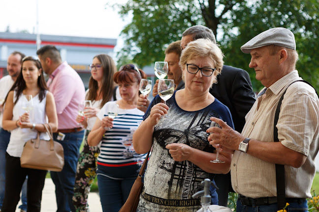 Comentarii opinii despre Borháló Borsod