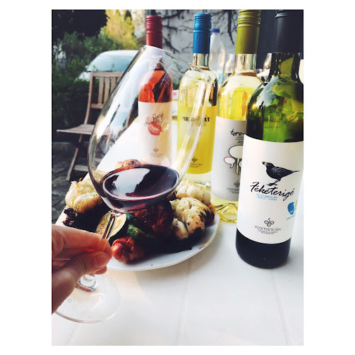 Comentarii opinii despre Podmaniczky Pince és Szőlőbirtok