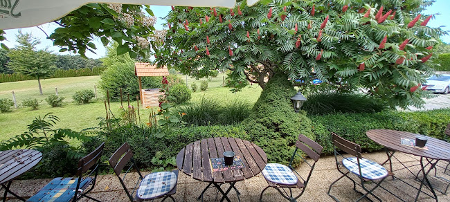 Opinii despre Maximilian BBQ & Grill în Balatonmagyaród - Vendéglátás