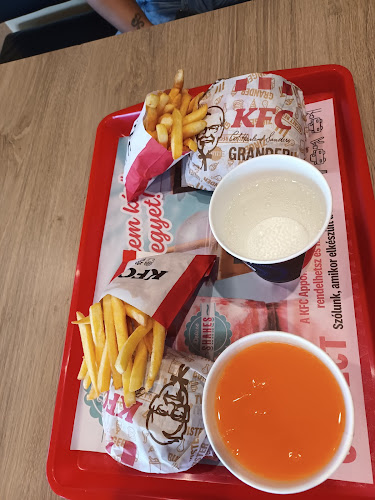 KFC Hódmezővásárhely DT - Vendéglátás