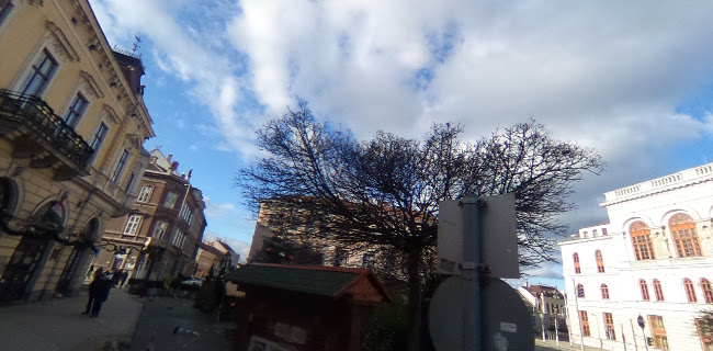 Opinii despre Perkovátz-Ház în Sopron - Vendéglátás