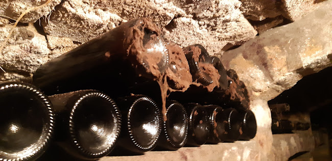 Dúzsi Tamás Pincéje - Szekszárd