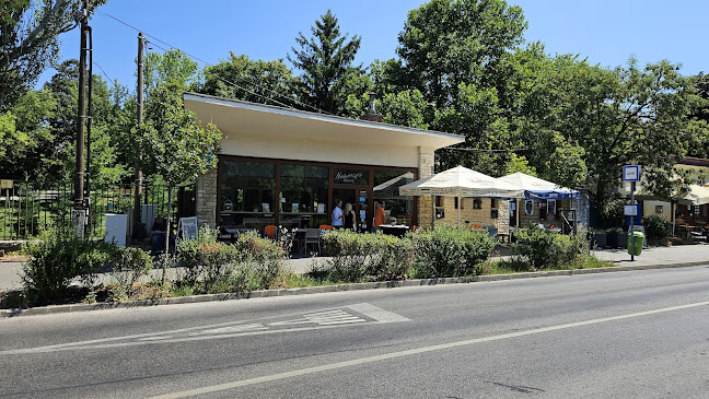 Comentarii opinii despre Normafa Delikát