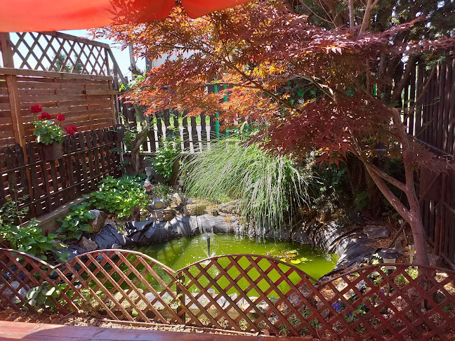 Telki Presszó - Vendéglátás