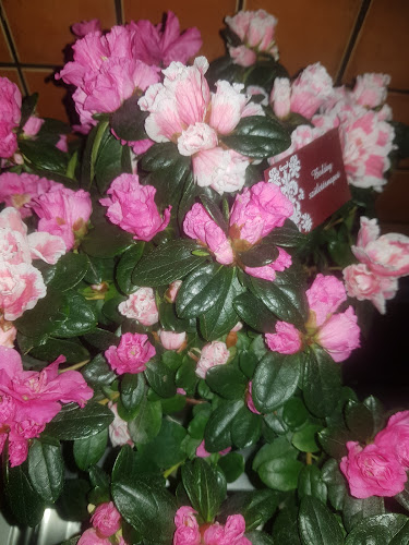 Budapest, Rózsa u. 12, 1045