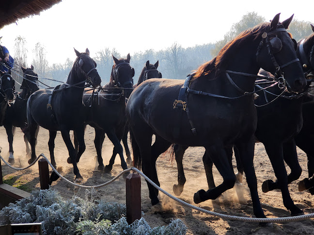 Comentarii opinii despre Lázár Lovaspark