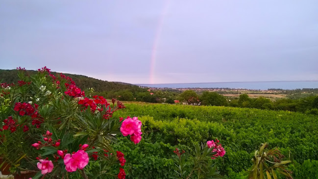 Comentarii opinii despre Karcsi Bácsi Pincéje