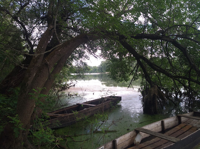 Szegfű csárda (régi idők emléke) - Vendéglátás
