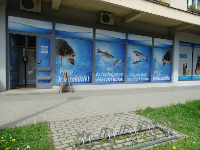 Papp Halbolt Halszaküz