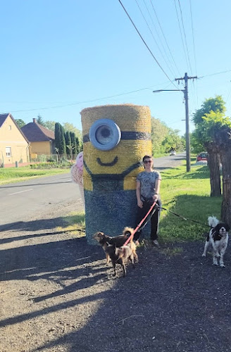 Újszász, Jász út 24, 5052