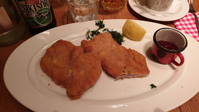 Comentarii opinii despre Pest-Buda Bistro