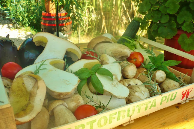 Siófok, Akácfa u. 53, 8600