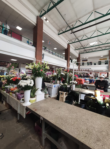 Vásárcsarnok Nagykanizsa - Nagykanizsa