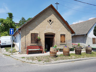 Dúzsi Tamás Pincéje