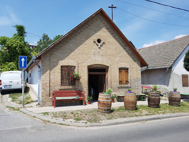 Dúzsi Tamás Pincéje