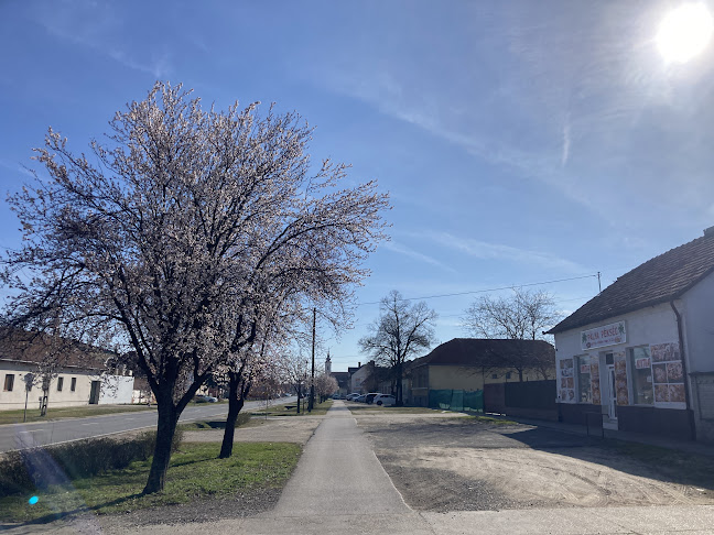 Opinii despre Pálam Pékség în Soltvadkert - Vendéglátás