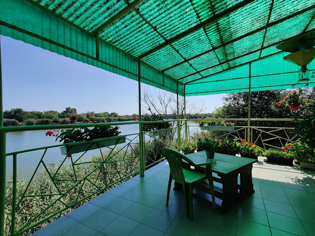 Comentarii opinii despre Csuka Csárda