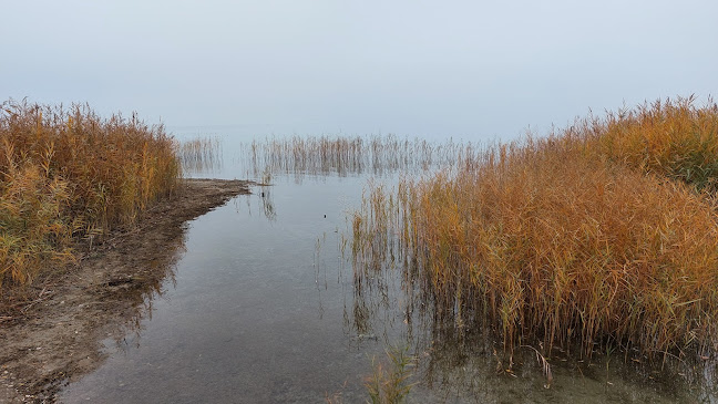 BoroZoli Strandbüféje - Balatonvilágos